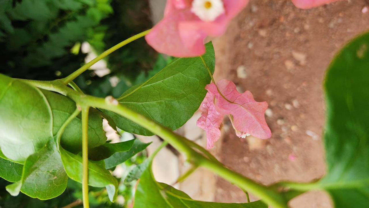 Kanthi Resorts Badami Bagalkot Exterior foto