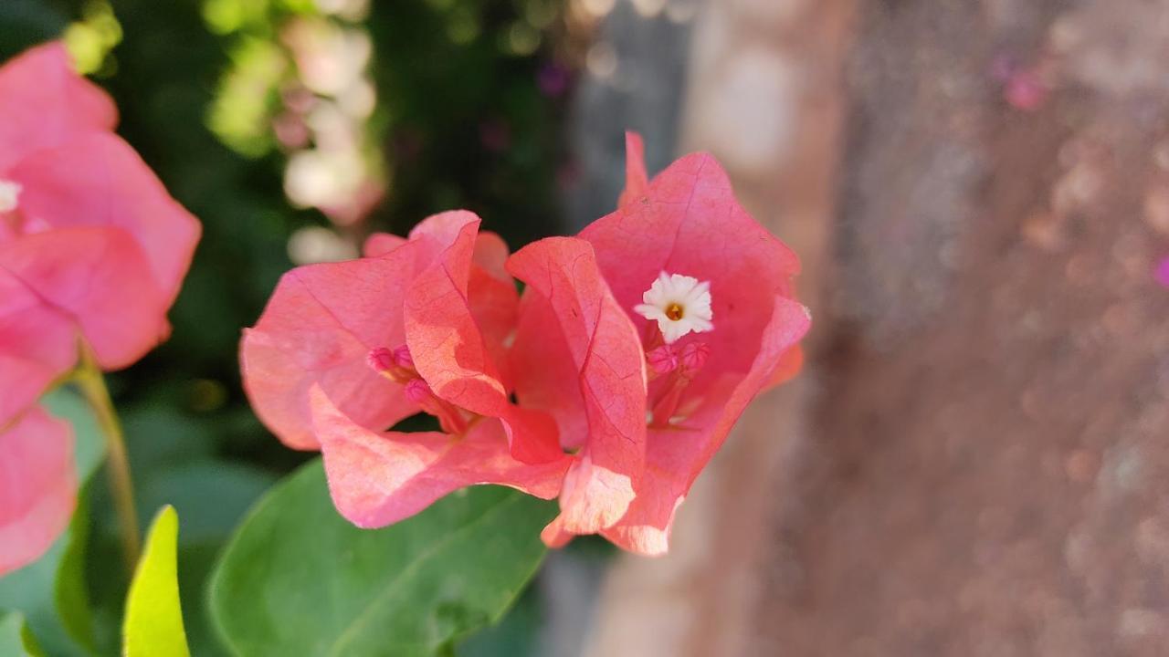 Kanthi Resorts Badami Bagalkot Exterior foto
